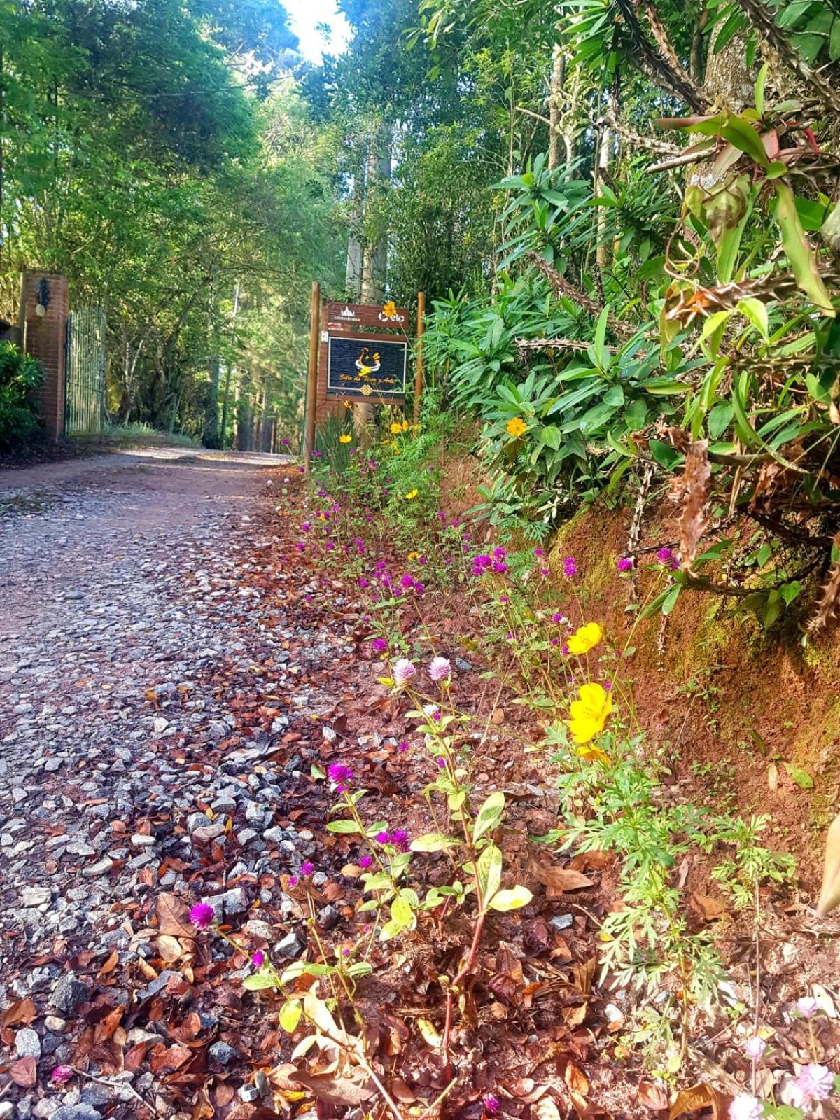 Pousada Sitio Da Terra E Arte São Roque Extérieur photo