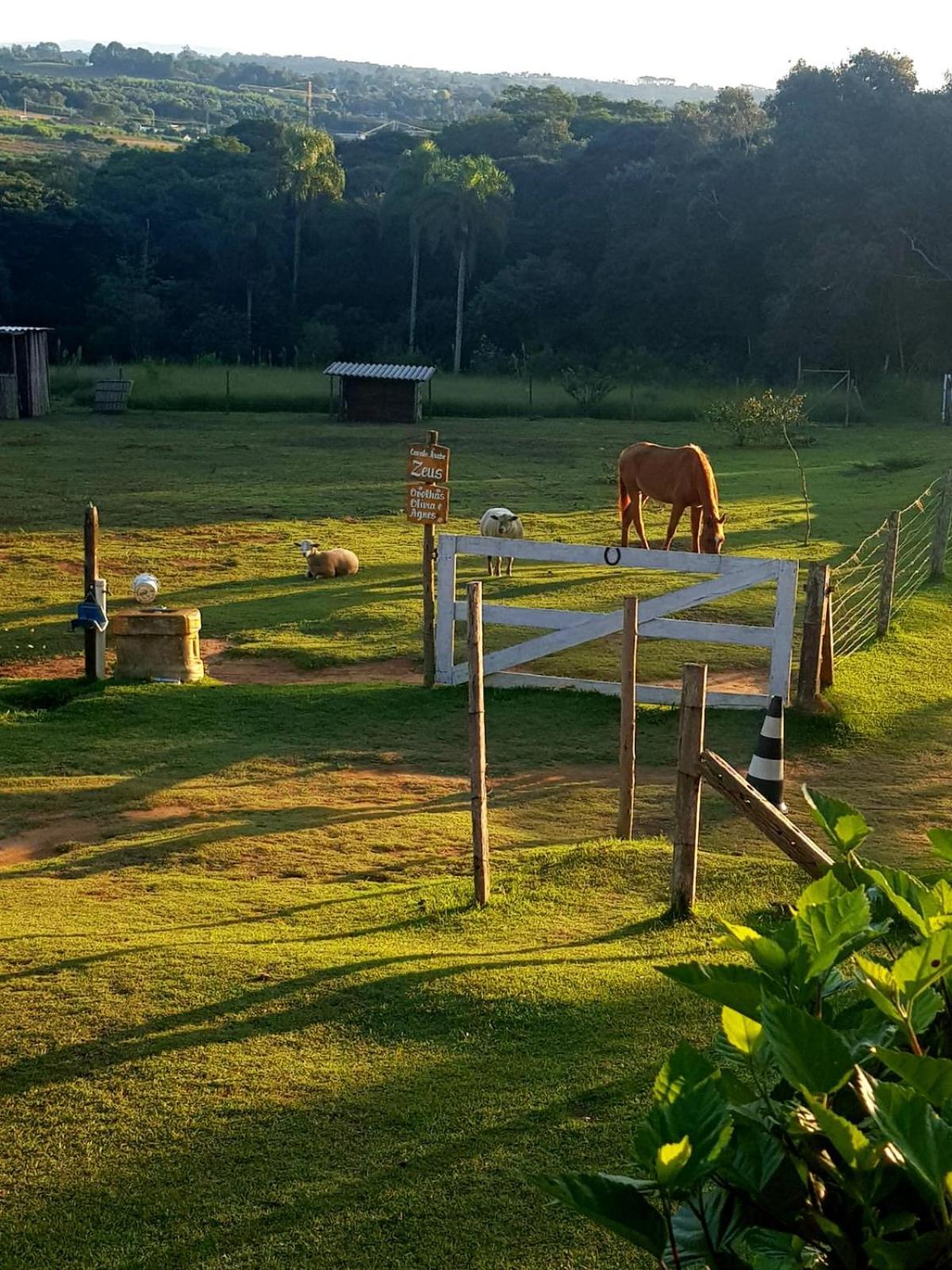 Pousada Sitio Da Terra E Arte São Roque Extérieur photo